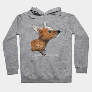 Loba Hoodie